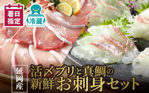 【冷蔵】延岡産活〆ブリと真鯛の新鮮お刺身セット N019-YB824宮崎県延岡市28000魚介・海産物鮮魚