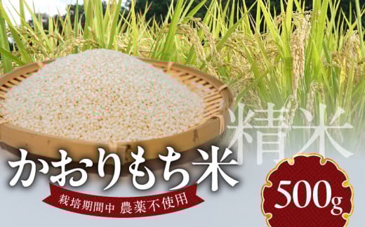 かおりもち米 500g N0182-YA0476宮崎県延岡市4000米・パン玄米・雑穀米・もち米・餅