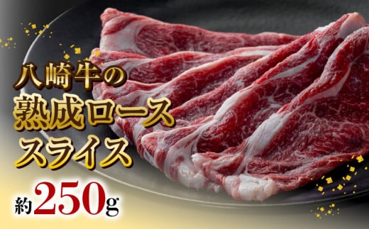苍̏n[XXCX250g N0105-YB069{茧s21000