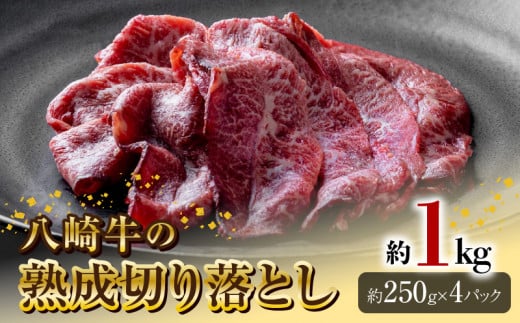 八崎牛の熟成切り落とし約1kg N0105-YA944宮崎県延岡市19000肉牛肉