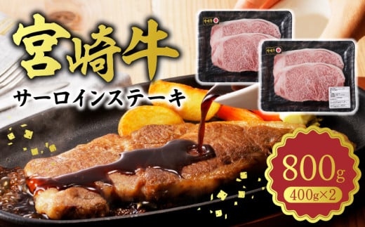 {苍 T[CXe[L800g N0140-YC527{茧s35000
