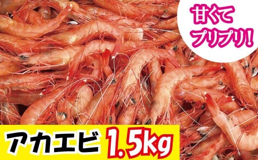 AJGr1.5s N014-YZA583{茧s17000ECYGr