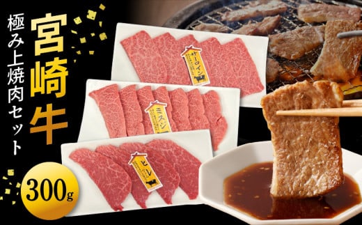 宮崎牛極み上焼肉セット 合計 300gN0140-YB086宮崎県延岡市20000肉その他 肉