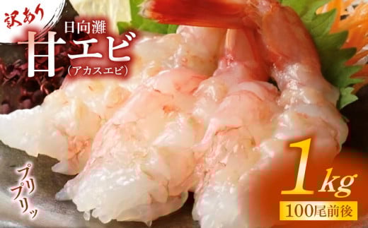 訳あり日向灘甘エビ(アカスエビ)1kg N065-YA0378宮崎県延岡市12000魚介・海産物エビ