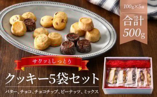 クッキー5種類セット N0160-YZA0269宮崎県延岡市13000菓子・スイーツ焼き菓子