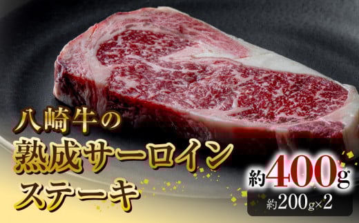 苍̏nT[CXe[L200g×2 N0105-YB822{茧s28000