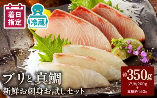 【冷蔵】ブリと真鯛の新鮮お刺身セット少量お試しパック N019-YA195宮崎県延岡市11000魚介・海産物鮮魚
