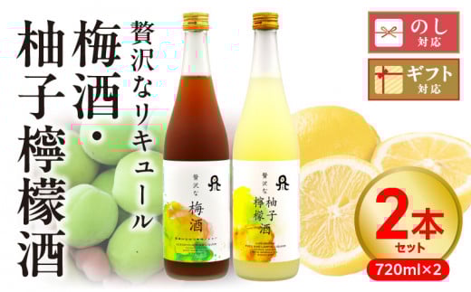 贅沢なリキュール 梅酒・柚子檸檬酒  2本セット N076-YA972宮崎県延岡市19000酒・アルコールウイスキー・洋酒・リキュール