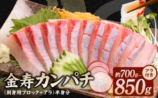金寿カンパチ(刺身用ブロック+アラ)半身分 N015-YA939宮崎県延岡市21000魚介・海産物貝類