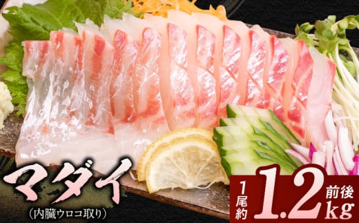 マダイ(内臓ウロコ取り)1尾分 N015-YA3329宮崎県延岡市14000魚介・海産物鮮魚