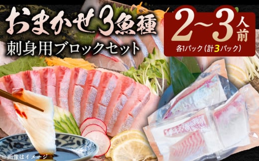 おまかせ3魚種 刺身用ブロックセット N015-YA3347宮崎県延岡市13000魚介・海産物鮮魚