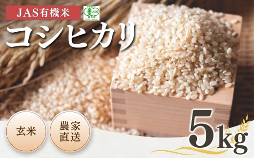 JAS有機米 コシヒカリ 玄米 5kg 令和7年産 新米 | JAS こしひかり 有機米 お米 米 コメ ブランド米 低温貯蔵庫 福島県産 根本有機農園福島県南相馬市23000米・パン白米