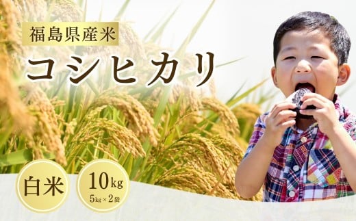 【先行予約】 コシヒカリ 白米 10s (5s×2袋) 令和7年産 新米 | 福島 福島県産 福島産 精米 米 お米 令和7年産米 武田ファーム サムランド福島県南相馬市34000米・パン白米