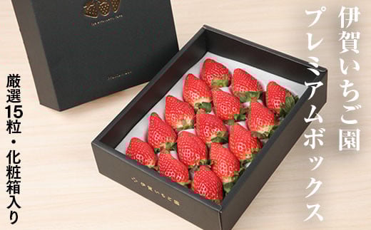 ys\zɉꂢ̃v~A{bNX I15ϔ ʌ | C`S   Xgx[ strawberry  Mtg p v[g ӂ͂鍁 䂤₯x[