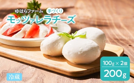 手作りモッツァレラチーズ | チーズ モツァレラチーズ モッツァレラ チーズ 乳製品 サラダ 料理 おつまみ ピザ パスタ 冷蔵 福島 南相馬市産福島県南相馬市7000卵・乳製品チーズ