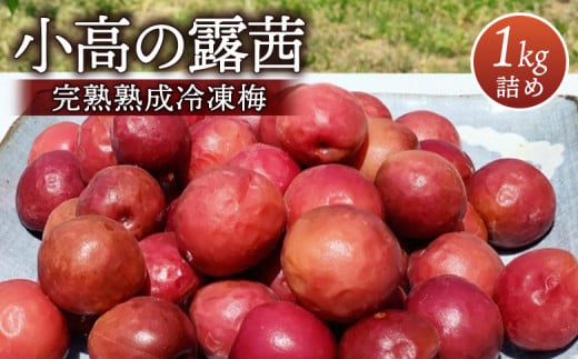 小高の露茜 完熟熟成冷凍梅 1kg | 産地直送 冷凍便 完熟梅 梅の実 梅干しや梅ジュース 梅酒 梅ジャムに 冷凍梅 手摘み 福島 南相馬福島県南相馬市16000果物・フルーツその他 果物・フルーツ