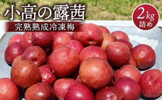 小高の露茜 完熟熟成冷凍梅 2kg | 産地直送 冷凍便 完熟梅 梅の実 梅干しや梅ジュース 梅酒 梅ジャムに 冷凍梅 手摘み 福島 南相馬福島県南相馬市32000果物・フルーツその他 果物・フルーツ