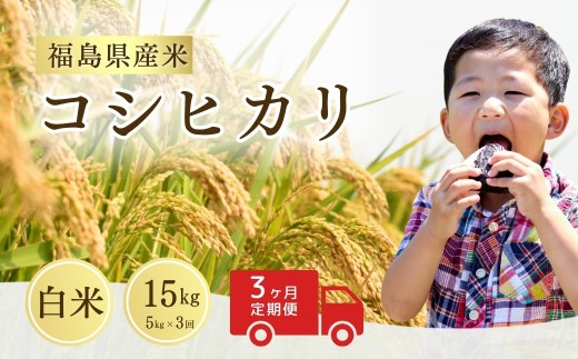 【先行予約】 【定期便】 コシヒカリ 白米 15s (5s×3回) 令和7年産 新米 | 福島 福島県産 福島産 精米 お米 米 令和7年産米 武田ファーム サムランド福島県南相馬市51000米・パン白米