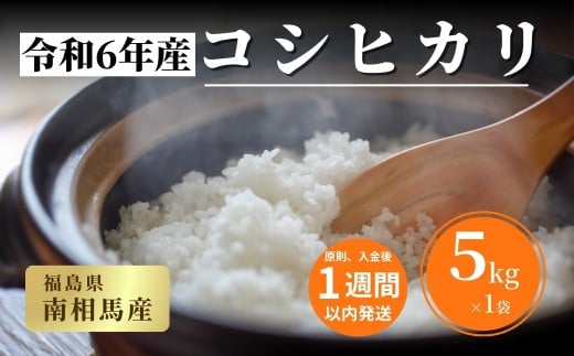 【令和6年産】 福島県産 コシヒカリ 白米 5kg × 1袋 | こしひかり 福島 福島産 精米 南相馬産 令和6年産米 星忠雄商店 星米店福島県南相馬市16000米・パン白米
