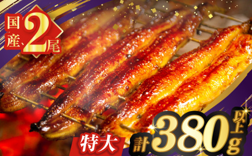 Ȃē2(񂵂傤Et)v380gȏ V   Hi Y_T026-0061{茧s_18000ZbgE؁EHHȋ ZbgE؁EHHi