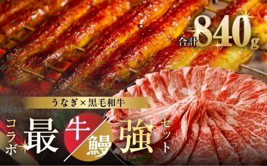 ≪数量限定≫うなぎ×黒毛和牛(経産牛) 都農町最強セットD 肉 牛 牛肉 おかず 国産_T030-1323宮崎県都農町27000肉牛肉