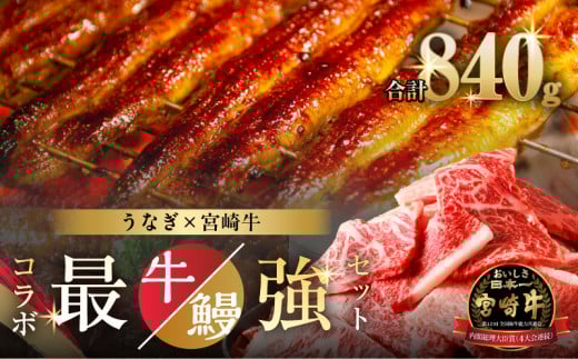 y10ŎtI!!zᐔʌ₤Ȃ×{苍 s_ŋZbgC    ē Y_T030-1313{茧s_30000