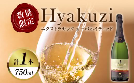 【数量限定】Hyakuzi エクストラセック カーボネイティッド(計1本) 酒 飲料 アルコール 国産_T014-007宮崎県都農町15000酒・アルコールワイン