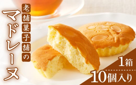 【2週間以内発送】老舗菓子舗のマドレーヌ計10個 焼き菓子 スイーツ 詰め合わせ 洋菓子_T035-0021宮崎県都農町11000菓子・スイーツその他 洋菓子