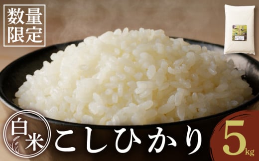 s\s_YVăRVqJ(5kg)    Y_T031-001{茧s_19000āEp