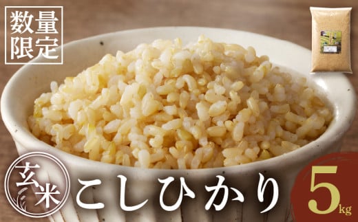 s\s_YVăRVqJ()5kg    Y_T031-003{茧s_17000āEpāEGāEāE