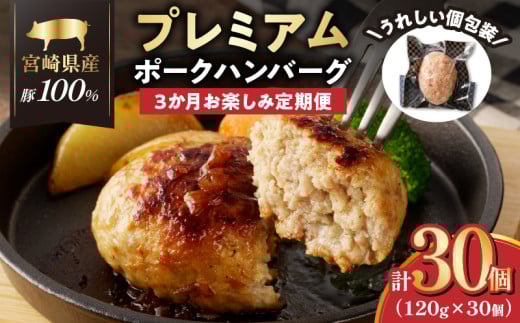 ≪3か月お楽しみ定期便≫宮崎県産豚プレミアムハンバーグ(合計30個) 肉 豚肉 加工品 国産_T001-0171宮崎県都農町48000肉加工肉(ハム・ソーセージ等)