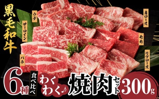 【令和8年3月発送】生産者応援≪訳あり≫黒毛和牛(経産牛)6種焼肉セット(合計300g) 肉 牛 牛肉 おかず 国産_T030-1193-03宮崎県都農町12000肉牛肉