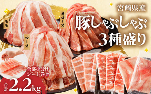 yߘa7N12zSV[g!!{茧Y؂Ԃ3퐷Zbgv2.2kg   ؓ  Y_T041-0052-12{茧s_15000ؓ