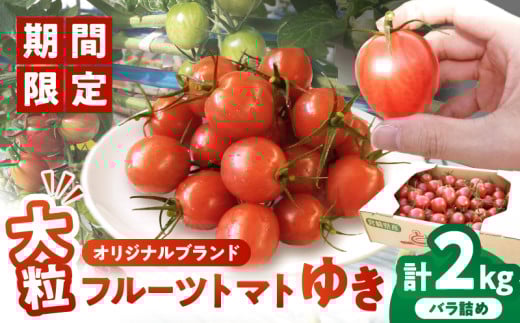 先行予約≪期間限定≫オリジナルブランド「フルーツトマト ゆき」計2kg ミニトマト 野菜 サラダ 国産_T047-0041宮崎県都農町14000野菜・きのこトマト