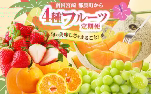 ≪定期便全4回≫2月・6月・9月・12月お届け!!4種フルーツ定期便★フルーツ 果物 デザート 国産_T015-009宮崎県都農町66000果物・フルーツその他 果物・フルーツ
