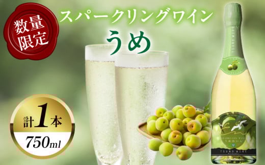 【数量限定】スパークリングワインうめ(計1本) 酒 飲料 アルコール 国産_T014-030宮崎県都農町11000酒・アルコールワイン