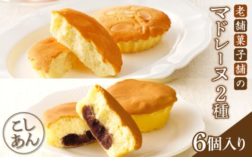 【2週間以内発送】老舗菓子舗のマドレーヌ2種セット「合計6個・個包装」 焼き菓子 スイーツ 詰め合わせ 洋菓子_T035-020宮崎県都農町6000菓子・スイーツその他 洋菓子