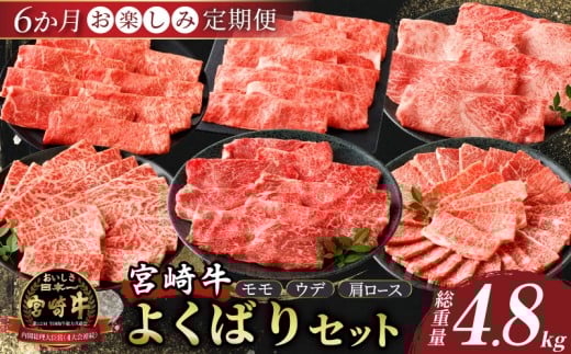 6か月お楽しみ定期便『宮崎牛よくばりセット』総重量4.8kg 肉 牛 牛肉 おかず 国産_T030-1843宮崎県都農町138000肉牛肉