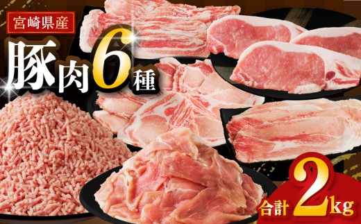 【令和7年12月発送】≪宮崎県産≫豚肉6種\てげスゲーセット/合計2kg 肉 豚 豚肉 おかず 国産_T009-030-12宮崎県都農町13000肉豚肉