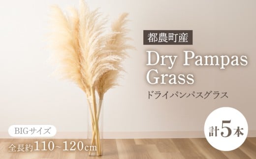 y2TԈȓzhCppXOXii`jv5{  CeA Y_T057-001{茧s_18000ߗށEiEH|ȋ iEH|i