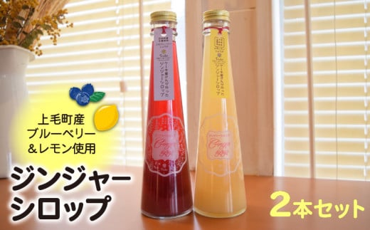 【上毛町産ブルーベリー&レモン使用】ジンジャーシロップ 2本セット KT0302福岡県上毛町11000お茶・飲料果汁・野菜飲料