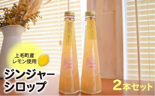 【上毛町産レモン使用】ジンジャーシロップ 2本セット KT0402福岡県上毛町11000お茶・飲料果汁・野菜飲料