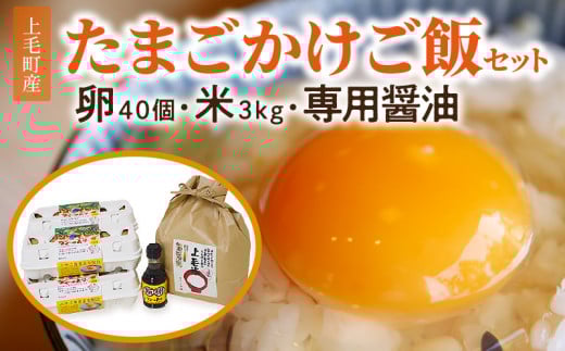 上毛町産の「たまごかけご飯セット」(卵40個・米3kg・専用醤油) C01101福岡県上毛町22000卵・乳製品卵(鶏、烏骨鶏等)