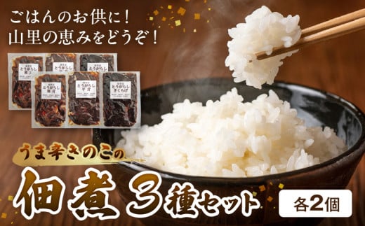 上毛町産 うま辛きのこの佃煮3種(椎茸・平茸・きくらげ)×2セット T06204福岡県上毛町17000鍋セット・総菜・加工食品漬物・梅干・キムチ