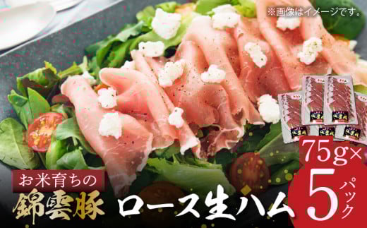 yuhؓzĈ炿́uщ_؁v@[Xn@5pbN@FN1405ђ12000HinE\[Z[Wj