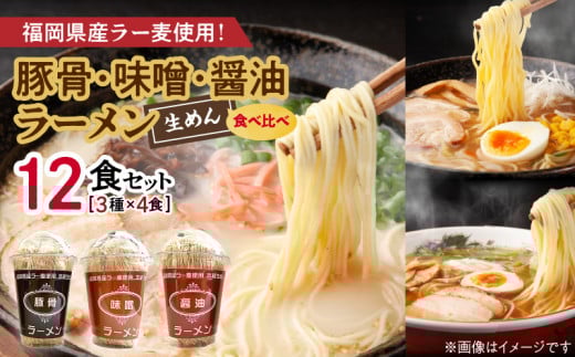 【福岡県産ラー麦使用】醤油・豚骨・味噌ラーメン食べ比べ 2食入り×各2セット(合計12食) PC7106福岡県上毛町10000麺ラーメン