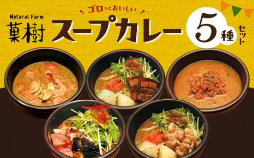 【ナチュラルファーム菓樹】スープカレー 5種セット NK0906福岡県上毛町22000鍋セット・総菜・加工食品総菜