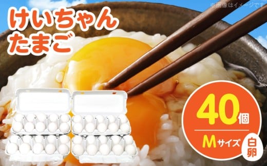 けいちゃんたまご 白 Mサイズ 40個 C00407福岡県上毛町8000卵・乳製品卵(鶏、烏骨鶏等)