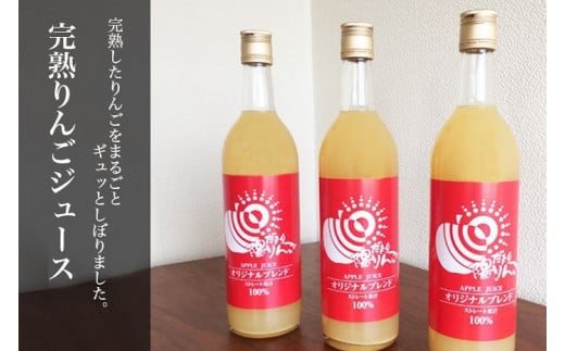 RP ꎓ_@n񂲃W[X720ml 3{ZbgX15000Eʏ`E؈