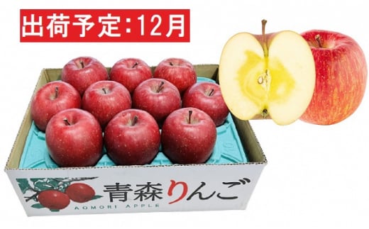 12月  特A 蜜入りサンふじ約3kg 糖度13度以上 【青森りんご・マルコウアップル】青森県板柳町16000果物・フルーツりんご・梨